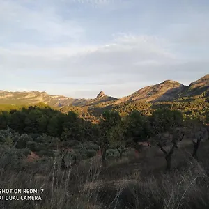 Ca L'aurora Bot